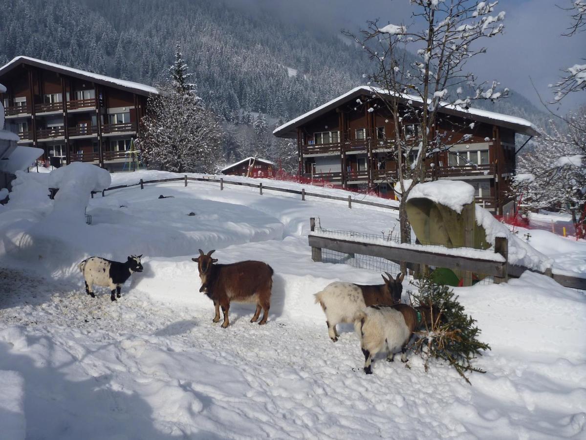 Reka-Feriendorf Lenk Hotel Luaran gambar